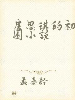 房思琪的初恋乐园小说