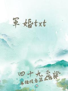 军婚txt