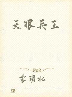 天眼兵王