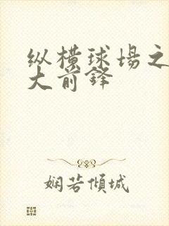 纵横球场之暴力大前锋