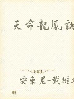 天命龙凤诀