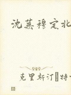 沈芜穆定北小说