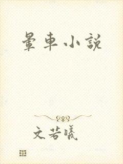 晕车小说