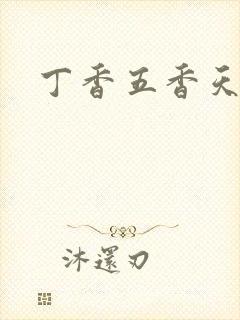 丁香五香天麻豆