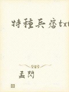 特种兵痞txt