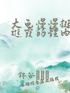 大龟慢慢挺进王进霞的体内