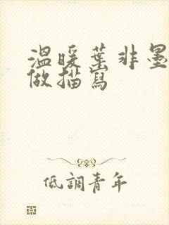 温暖叶非墨车内做描写