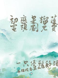 初恋是榴莲先生电视剧免费观看