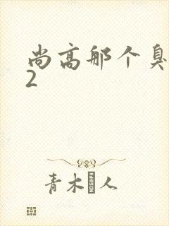 尚高那个臭小子2