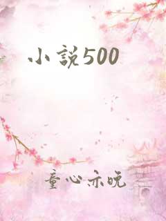 小说500