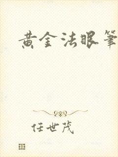 黄金法眼笔趣阁
