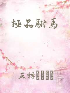极品驸马