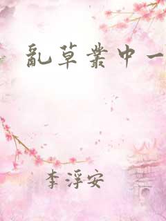 乱草丛中一杆枪