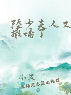 陆少夫人又双叒撒娇了