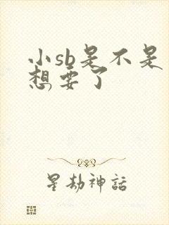 小sb是不是又想要了