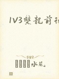 1V3双龙前后
