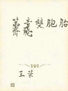 第章双胞胎姐妹齐飞