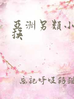 亚洲另类小说交换