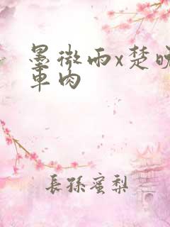 墨微雨x楚晚宁车肉