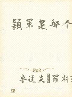 颖军是哪个军阀