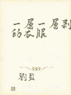 一层一层剥开我的衣服