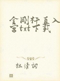 金刚杵直入莲花宫txt下载