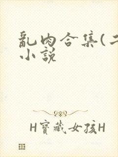 乱肉合集(二)小说