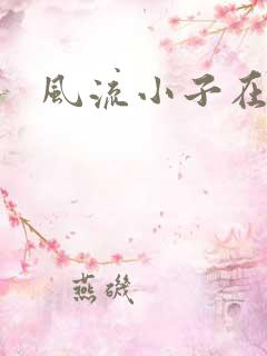 风流小子在异世