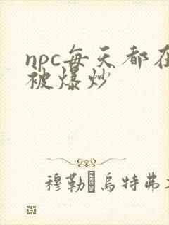 npc每天都在被爆炒