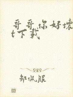 哥哥你好坏txt下载