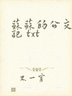 苏苏的公交车日记 txt