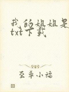 我的姐姐是美女txt下载
