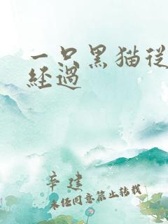 一只黑猫从眼前经过