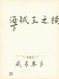 海贼王之横行天下