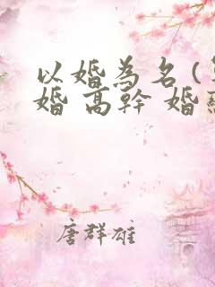 以婚为名 (军婚 高干 婚恋)