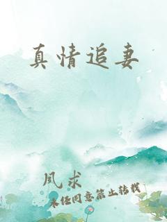 真情追妻