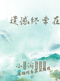 遗憾终常在小说