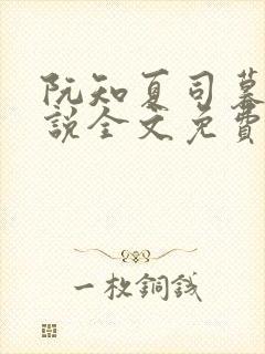 阮知夏司暮寒小说全文免费