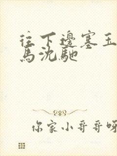 往下边塞玉器骑马沈驰