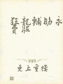 狂龙辅助永久免费版