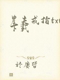 农夫戒指txt下载