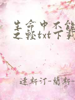 生命中不能承受之轻txt下载