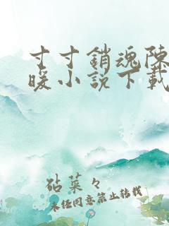 寸寸销魂陈聪王暖小说下载