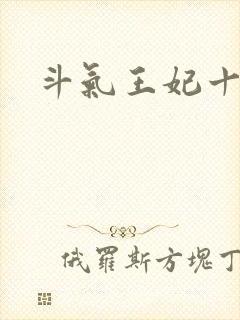 斗气王妃十五岁