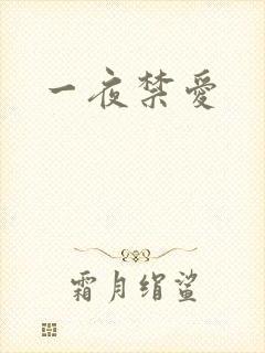 一夜禁爱