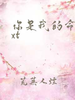 你是我的命运txt