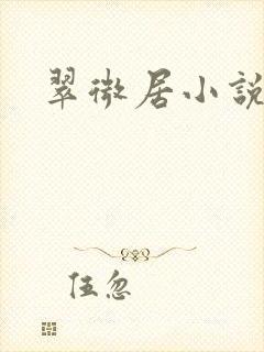翠微居小说