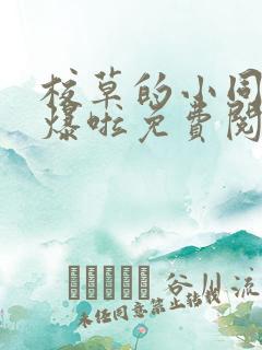 校草的小同桌撩爆啦免费阅读