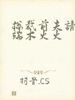 总裁前夫请自重端木火火