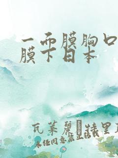 一面膜胸口一面膜下日本